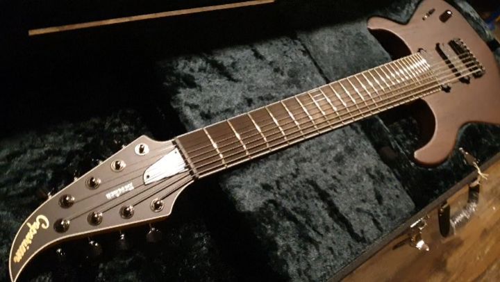 🤟🤟🤟🤟🤟🤟<br />
Caparison Brocken 8 strings.<br...