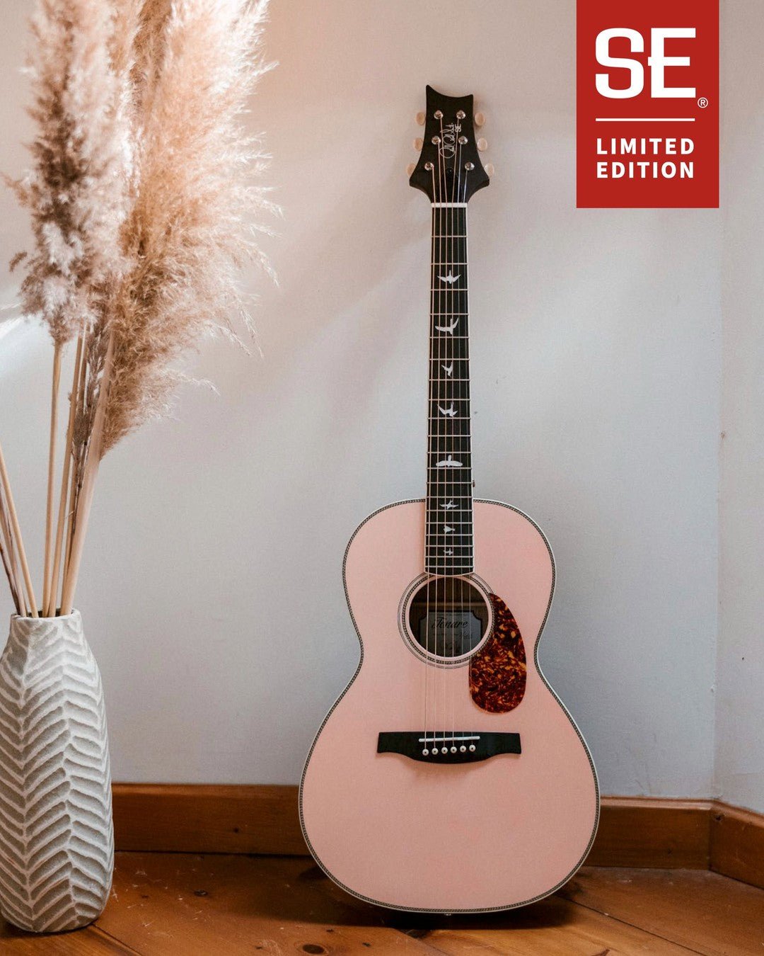New Limited Edition PRS SE...