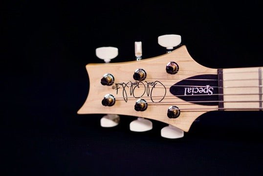PRS Swamp Ash Special Maple Jasper Smokeburst 0404836
