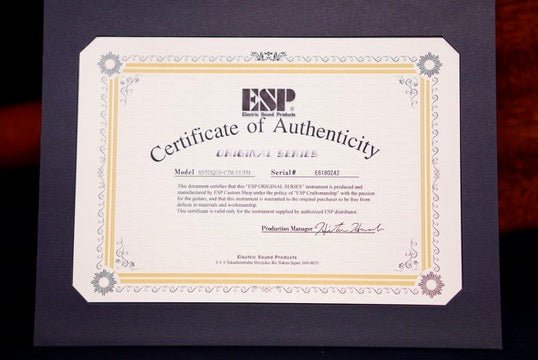 ESP Original Mystique NT Violet Orange Gradation E6180242