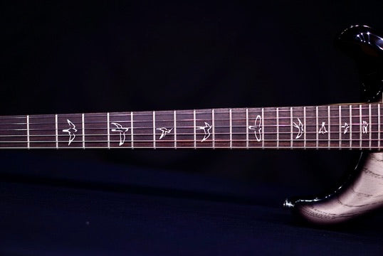 PRS Swamp Ash Special White Doghair Smokeburst Rosewood fb 0404842