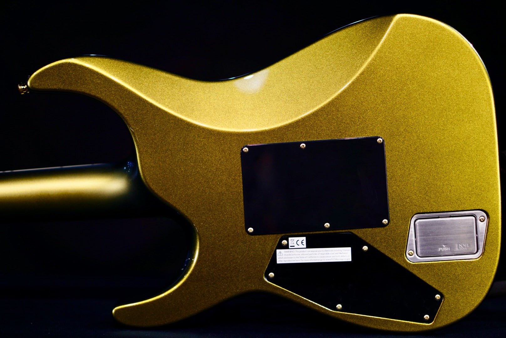 ESP Original M-II CTM FR/E Maziora/ Gold Silver E9521242