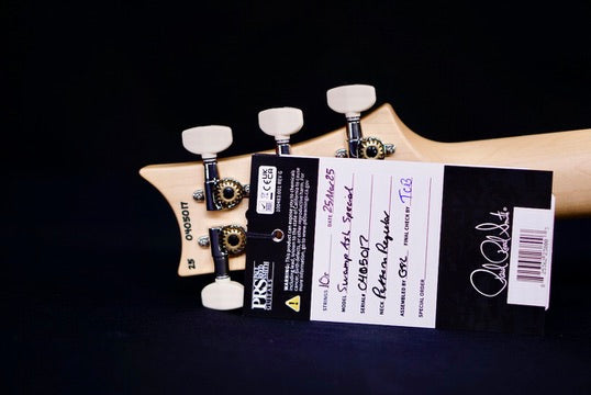 PRS Swamp Ash Special Jasper Smokeburst Rosewood fb 0405017