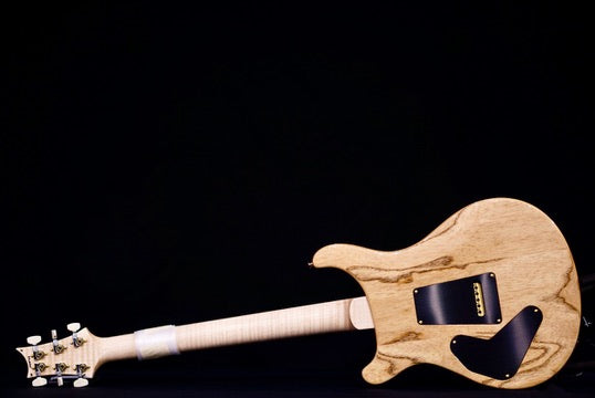 PRS Custom 24 Piezo Wood Library Artist Neck Jade 0405766