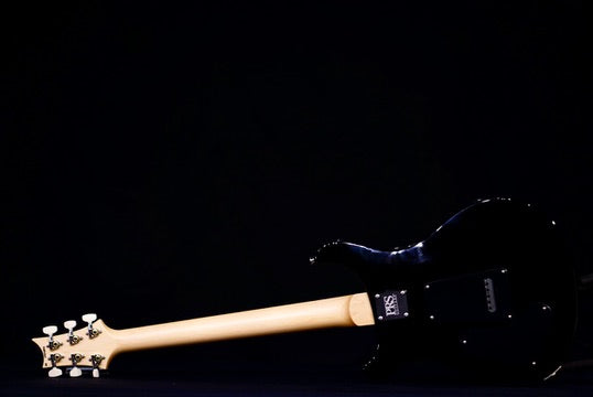 PRS Swamp Ash Special White Doghair Smokeburst Rosewood fb 0404842