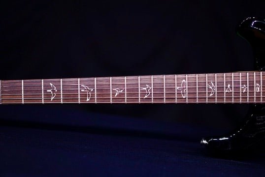 PRS Swamp Ash Special Black Doghair Smokeburst Rosewood fb 0404115