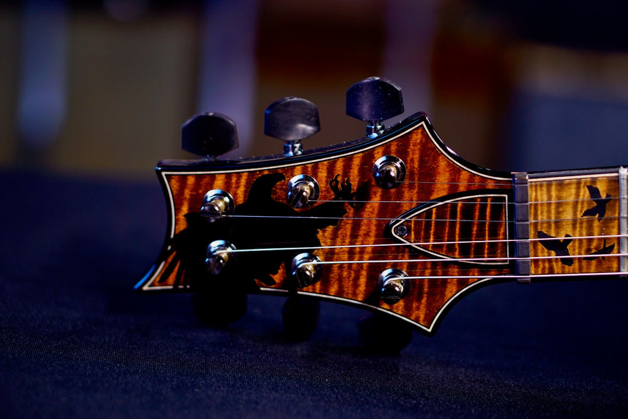 PRS Privatestock P24 Sandstorm Dragon's Breath Birds Of A Feather 417992 PS 12237
