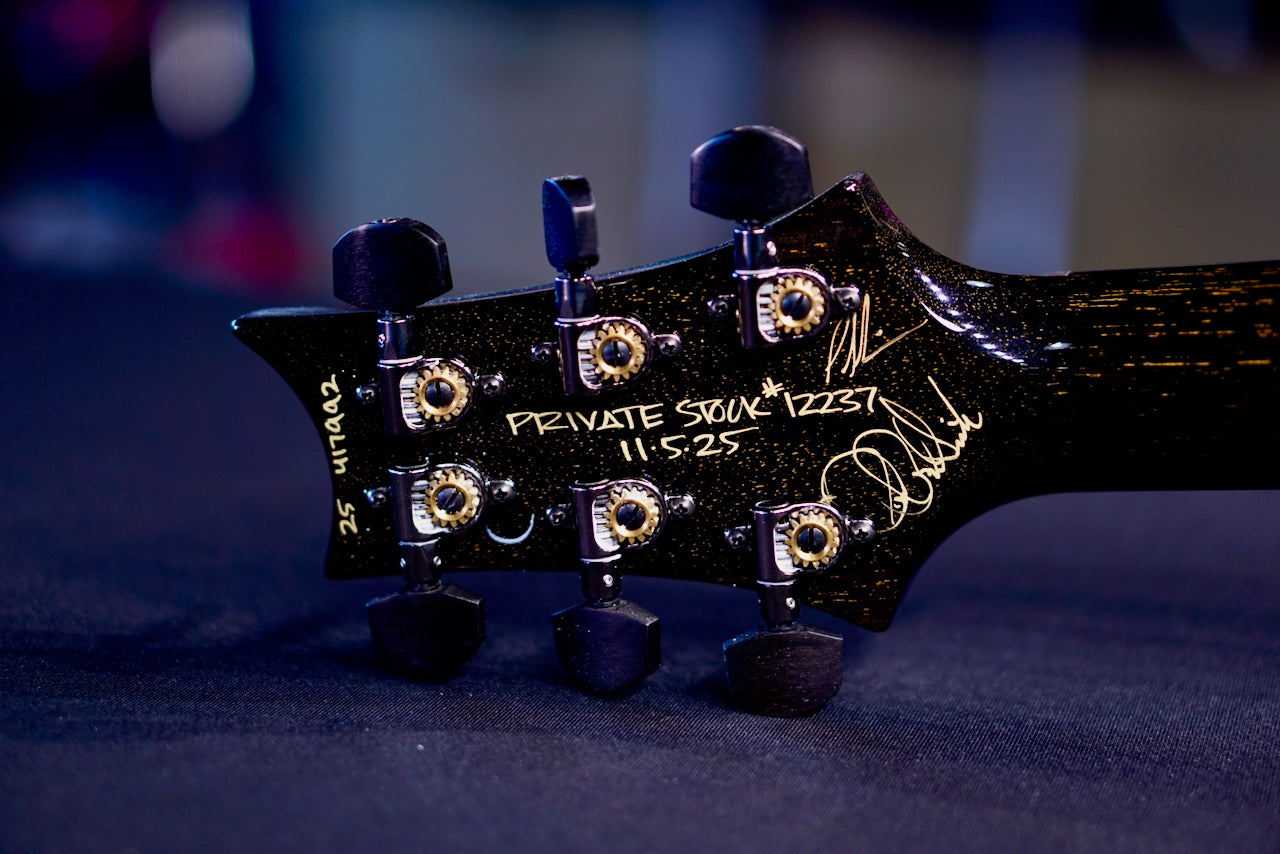 PRS Privatestock P24 Sandstorm Dragon's Breath Birds Of A Feather 417992 PS 12237