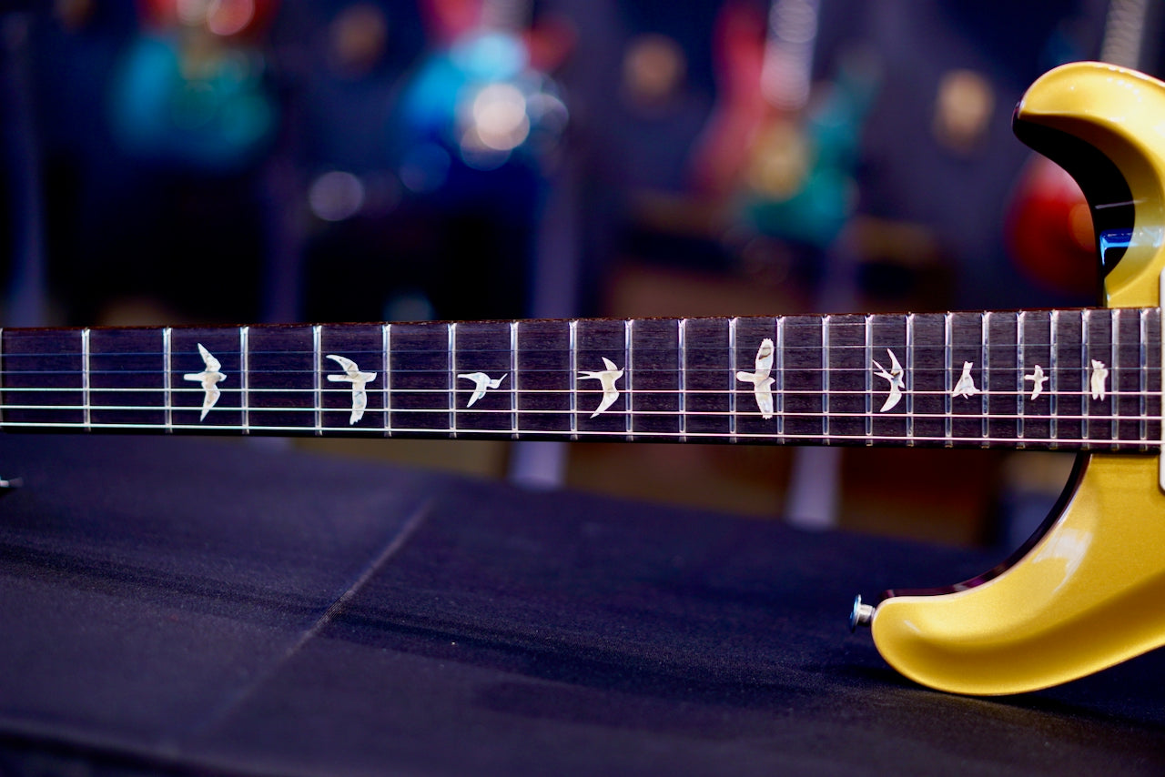 PRS DGT Birds Gold Top 0410287