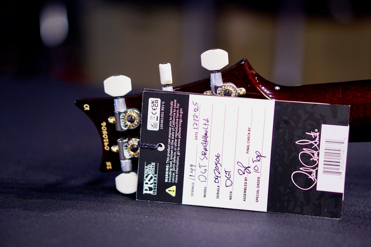 PRS DGT Semi-Hollow Birds 10 Top McCarty Tobacco Sunburst 0420506