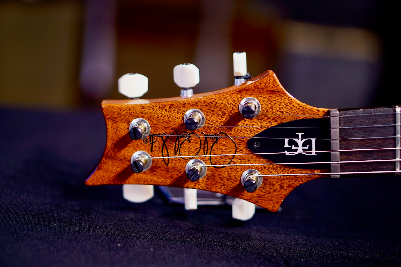 PRS DGT Semi-Hollow Birds Charcoal 0420505