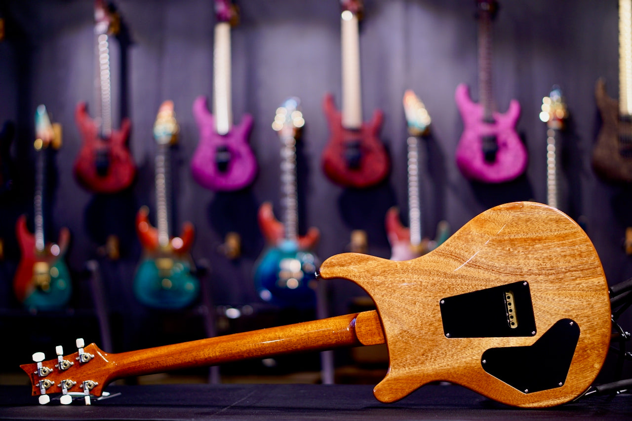 PRS DGT Semi-Hollow Birds Charcoal 0420505