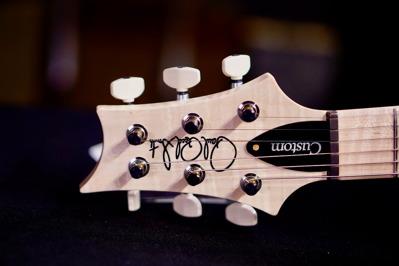 PRS Custom 24 Piezo Wood Library Artist Neck Custom Color 0414182