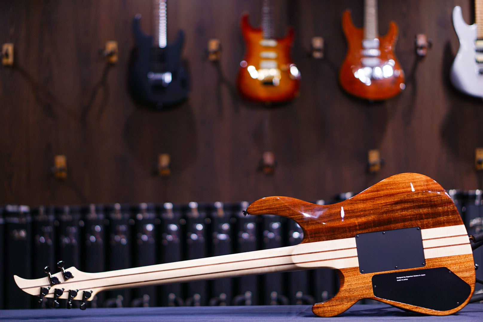 Caparison TAT Special fm moonlight 3370117 - HIENDGUITAR Caparison Guitars