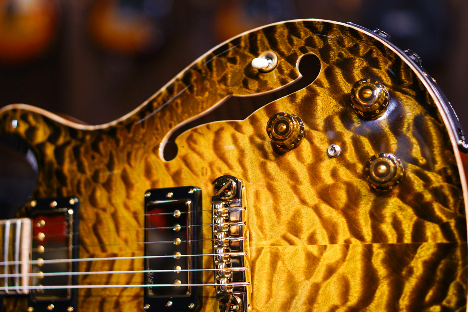 PRS Private Stock Hollowbody II Sandstorm Glow Birds of a Feather