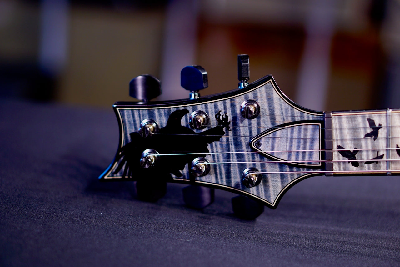 PRS Private Stock Custom 24 Piezo Galaxy Fade 0424909 PS#12380