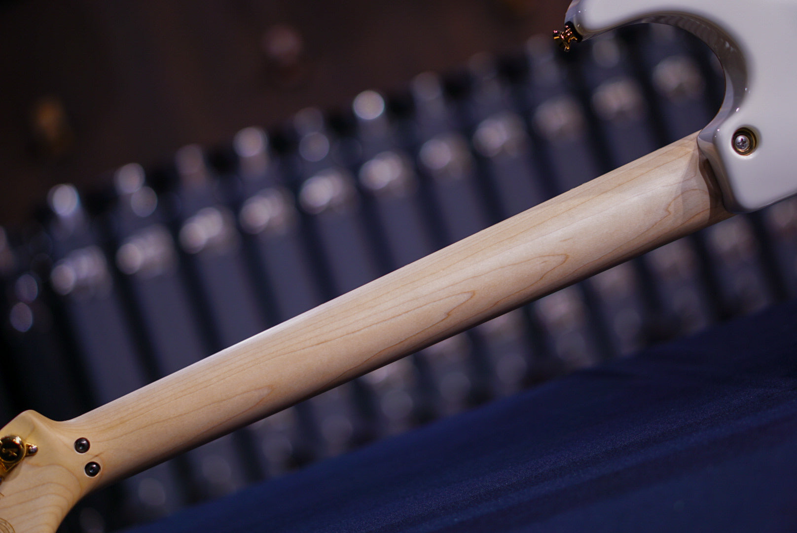 Tom Anderson the classic arctic white 01-29-24A