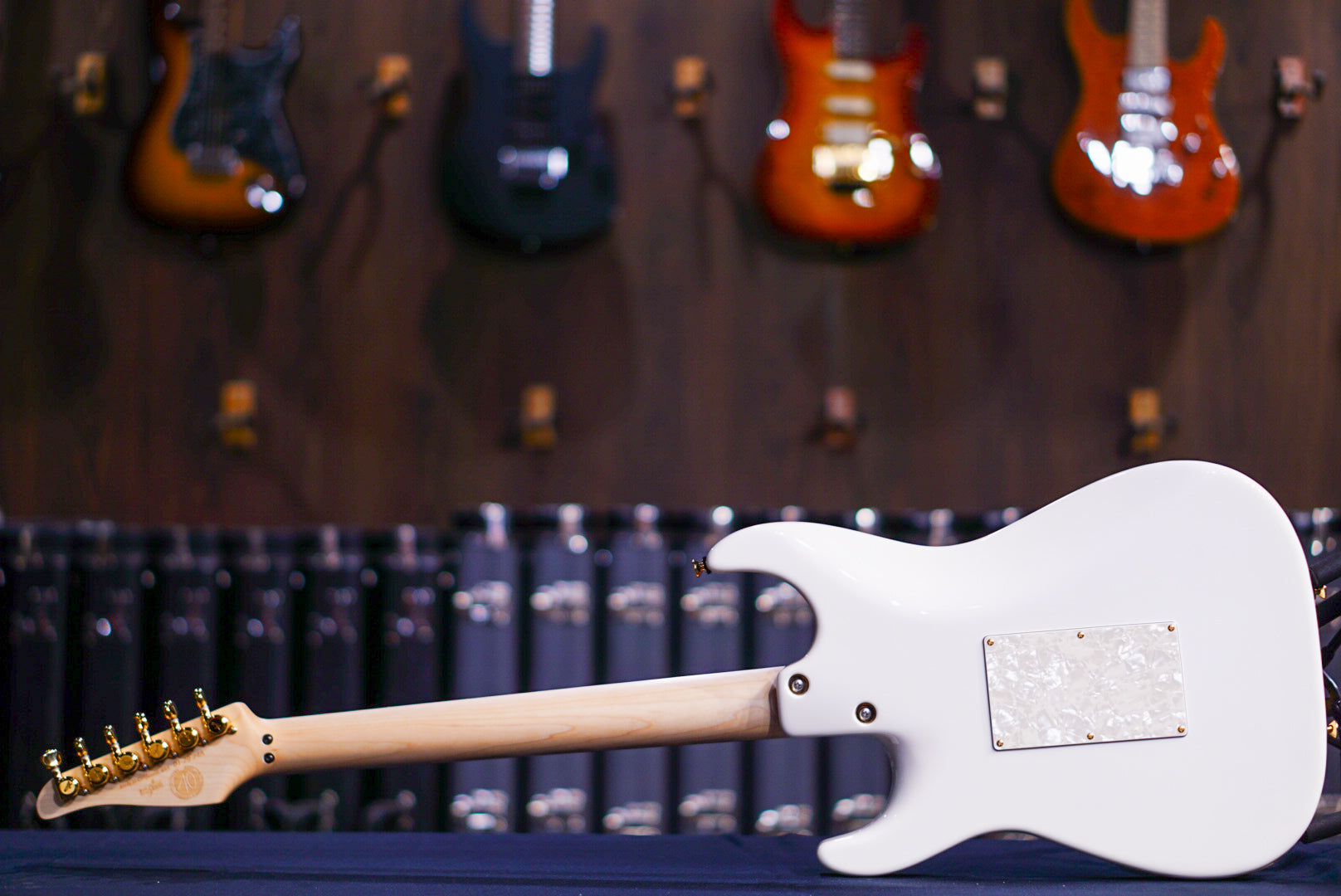 Tom Anderson the classic arctic white 01-29-24A