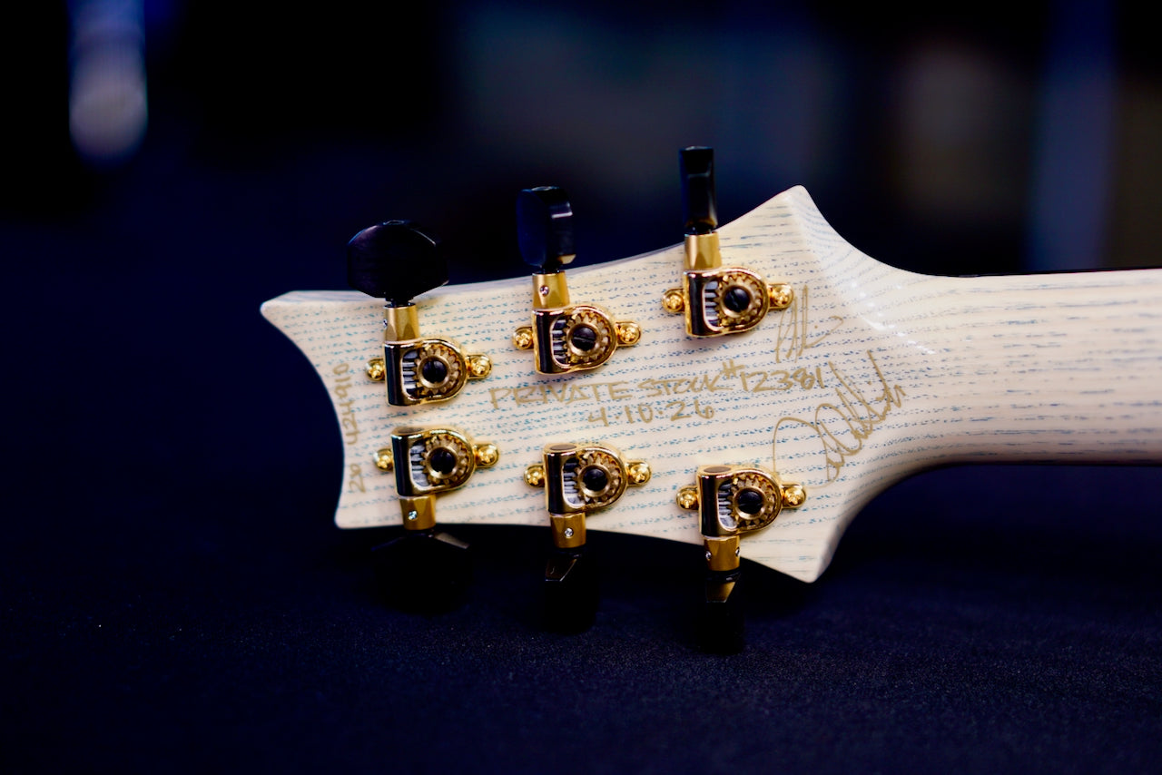 PRS Private Stock Custom 24 Piezo Indigo Dragon's Breathe 424910 PS #1281