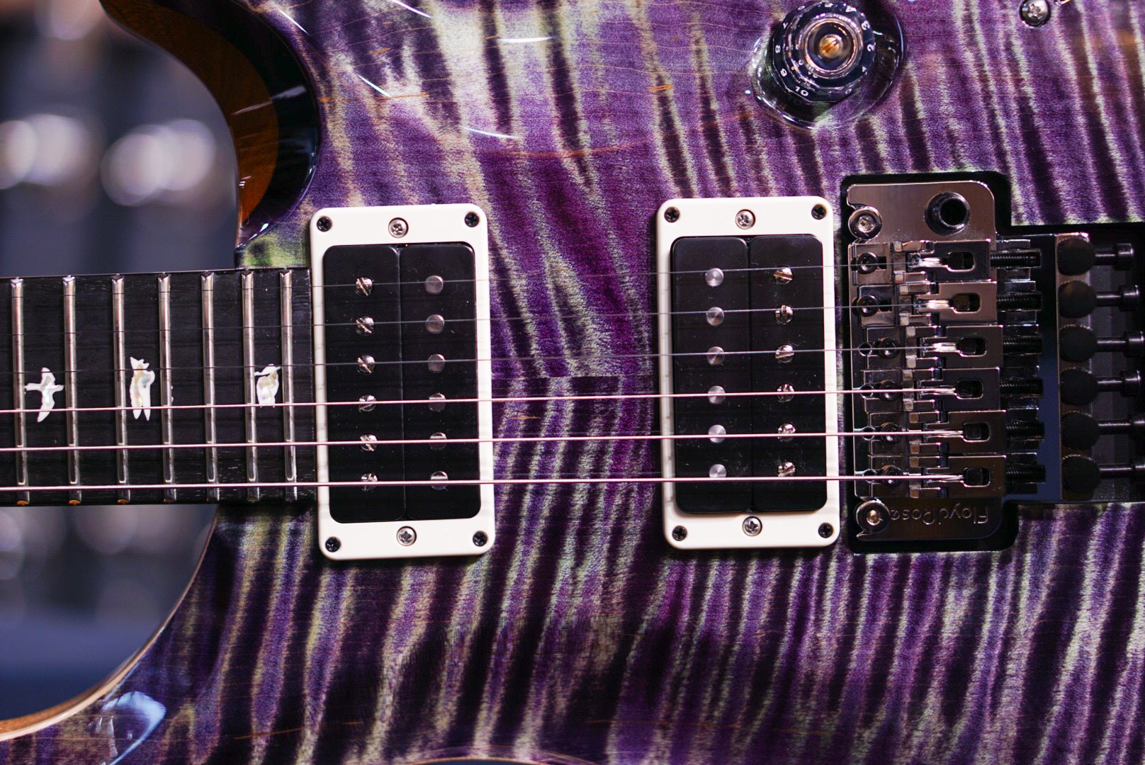 PRS Custom 24 Floyd Aurora Borealis 0403505