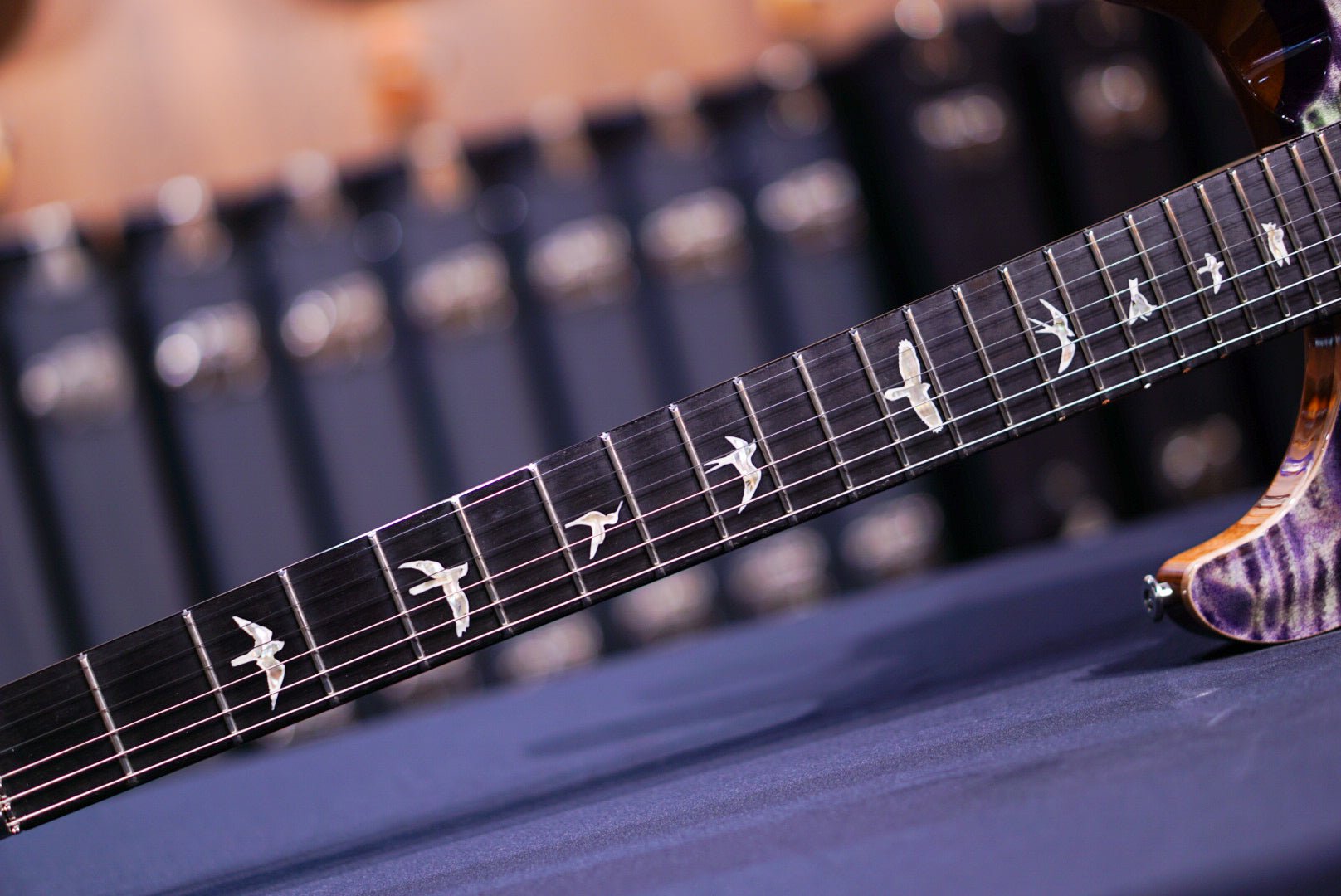 PRS Custom 24 Floyd Aurora Borealis 0403505