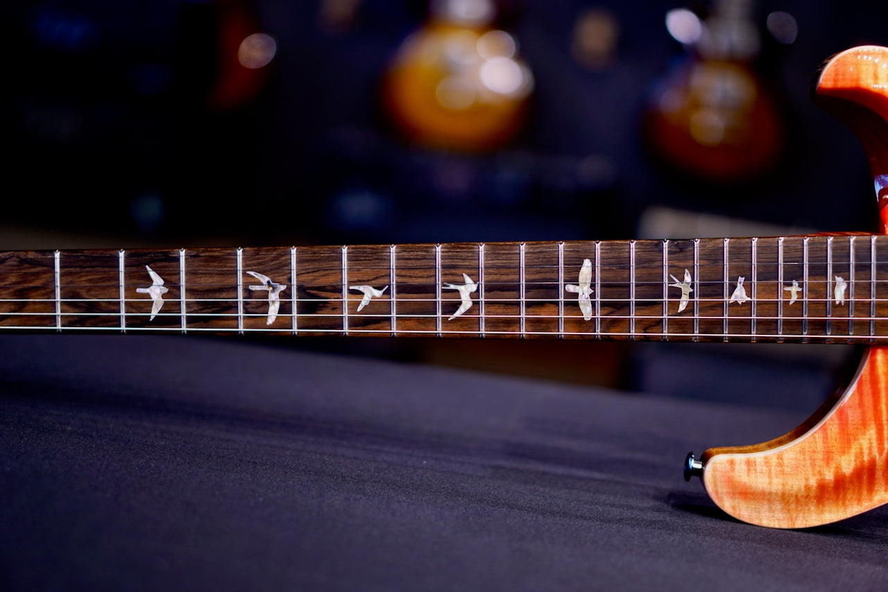 PRS Custom 24-08 Stained Neck - Ps color Salmon 0425934