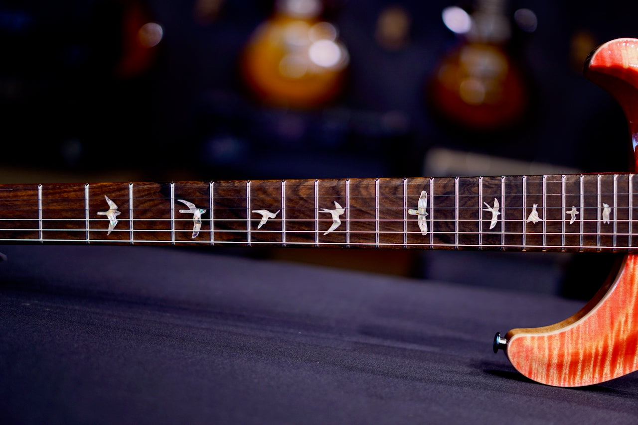 PRS Custom 24-08 Stained Neck - Ps color Salmon 0425938