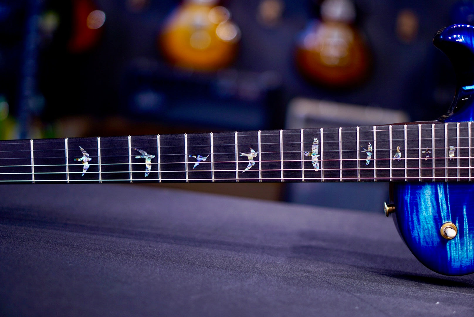 PRS Tremonti Wood Library rosewood neck Custom Color 0419530