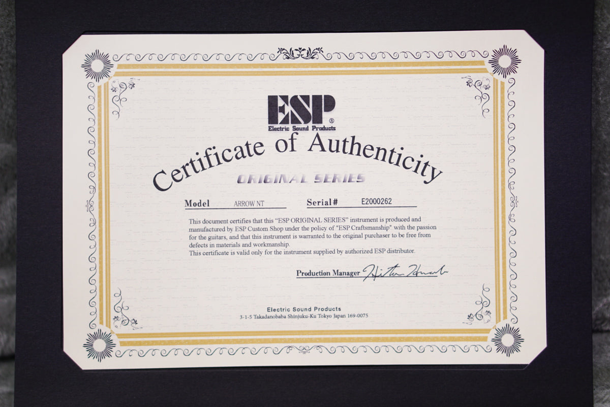 ESP Arrow NT Liquid metal silver E2000262