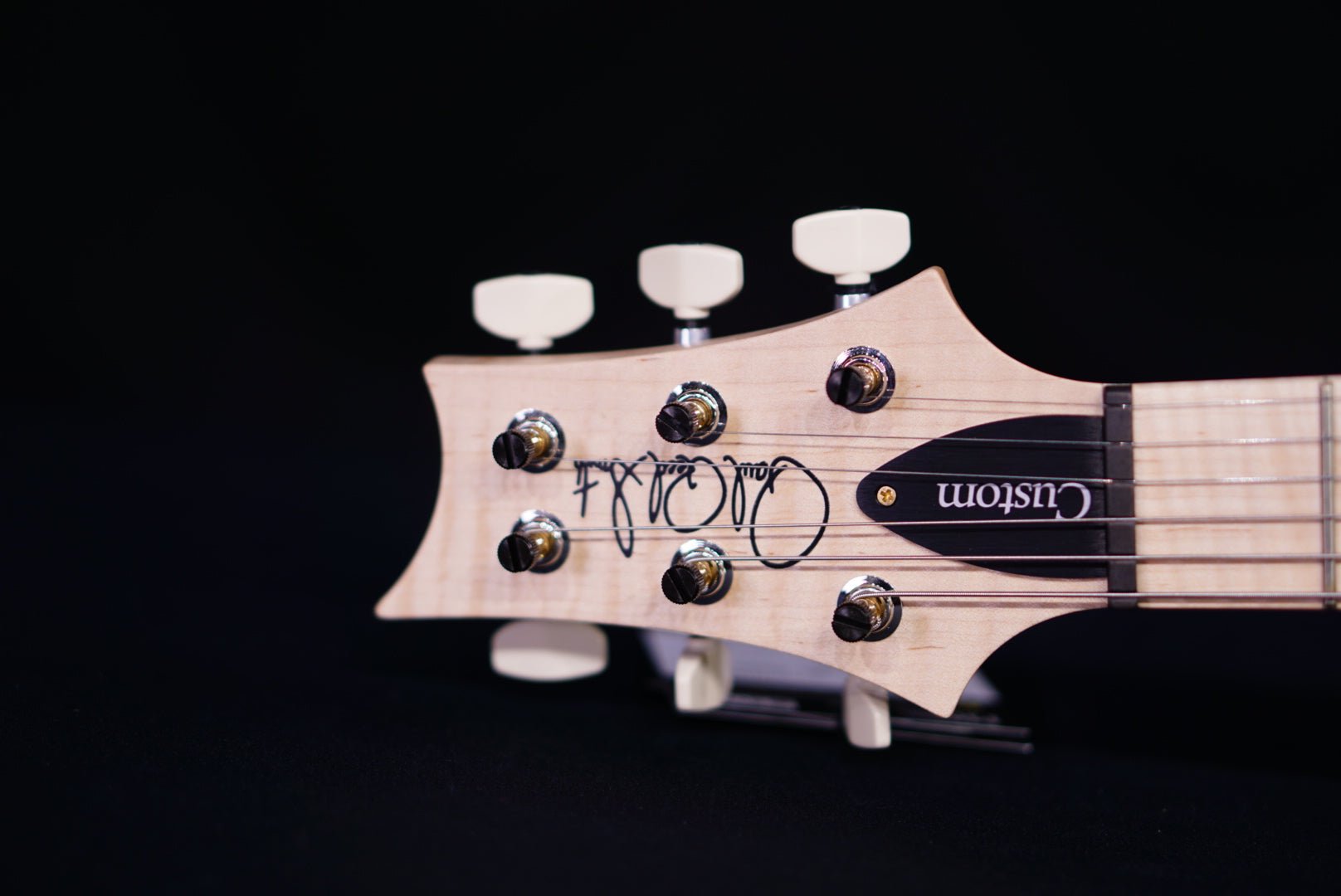 PRS Custom 24 Piezo Wood Library Artist Neck Blue Fade 0405762