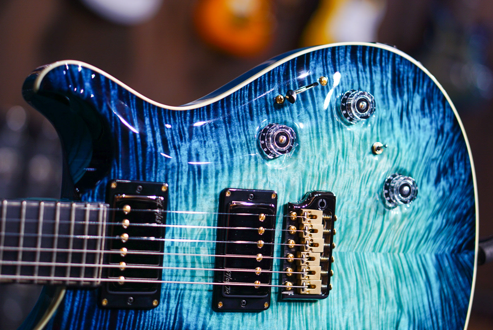 PRS Private Stock Custom 24 Piezo Sub Zero Glow Birds of a Feather PS11233 0381618