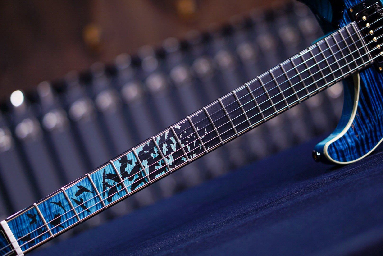 PRS Private Stock Custom 24 Piezo Sub Zero Glow Birds of a Feather PS11233 0381618