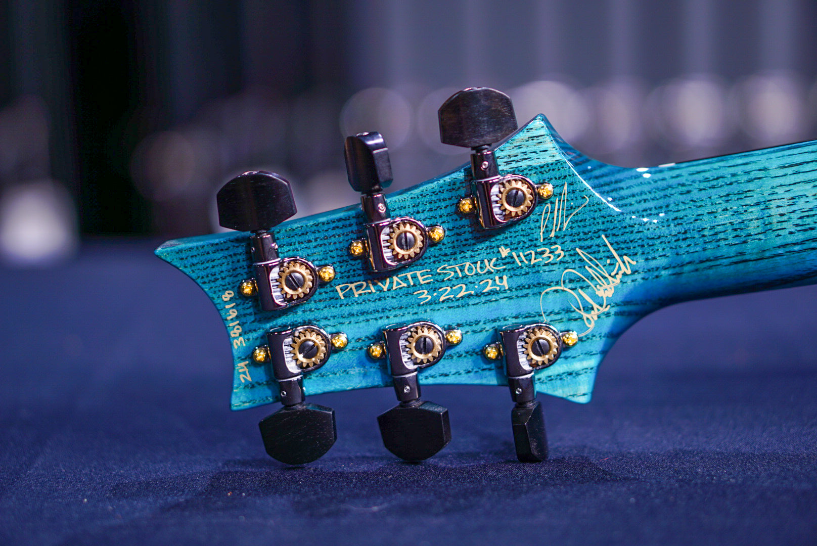 PRS Private Stock Custom 24 Piezo Sub Zero Glow Birds of a Feather PS11233 0381618