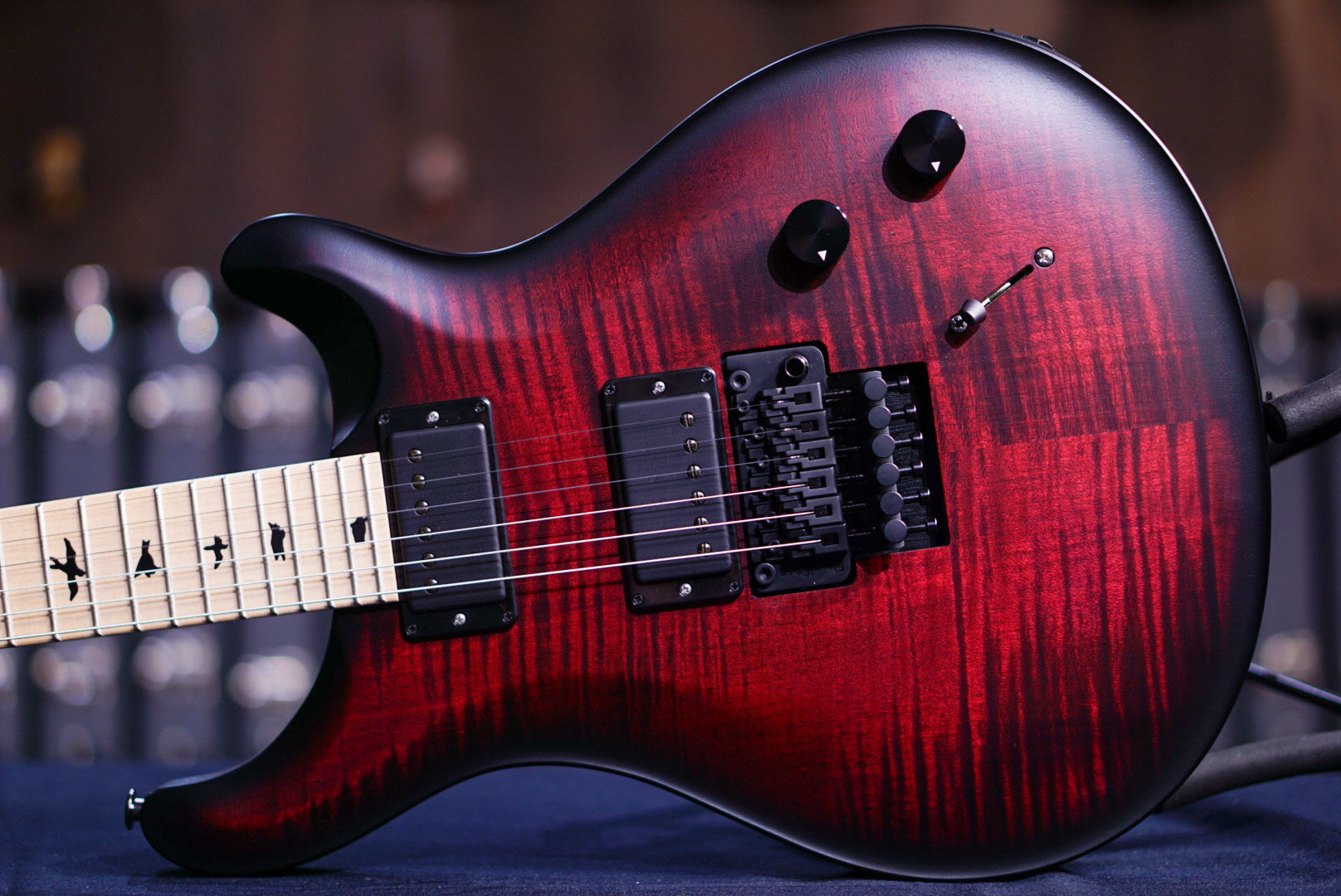 PRS Dustie Waring CE 24 Floyd - waring burst 24 0382471