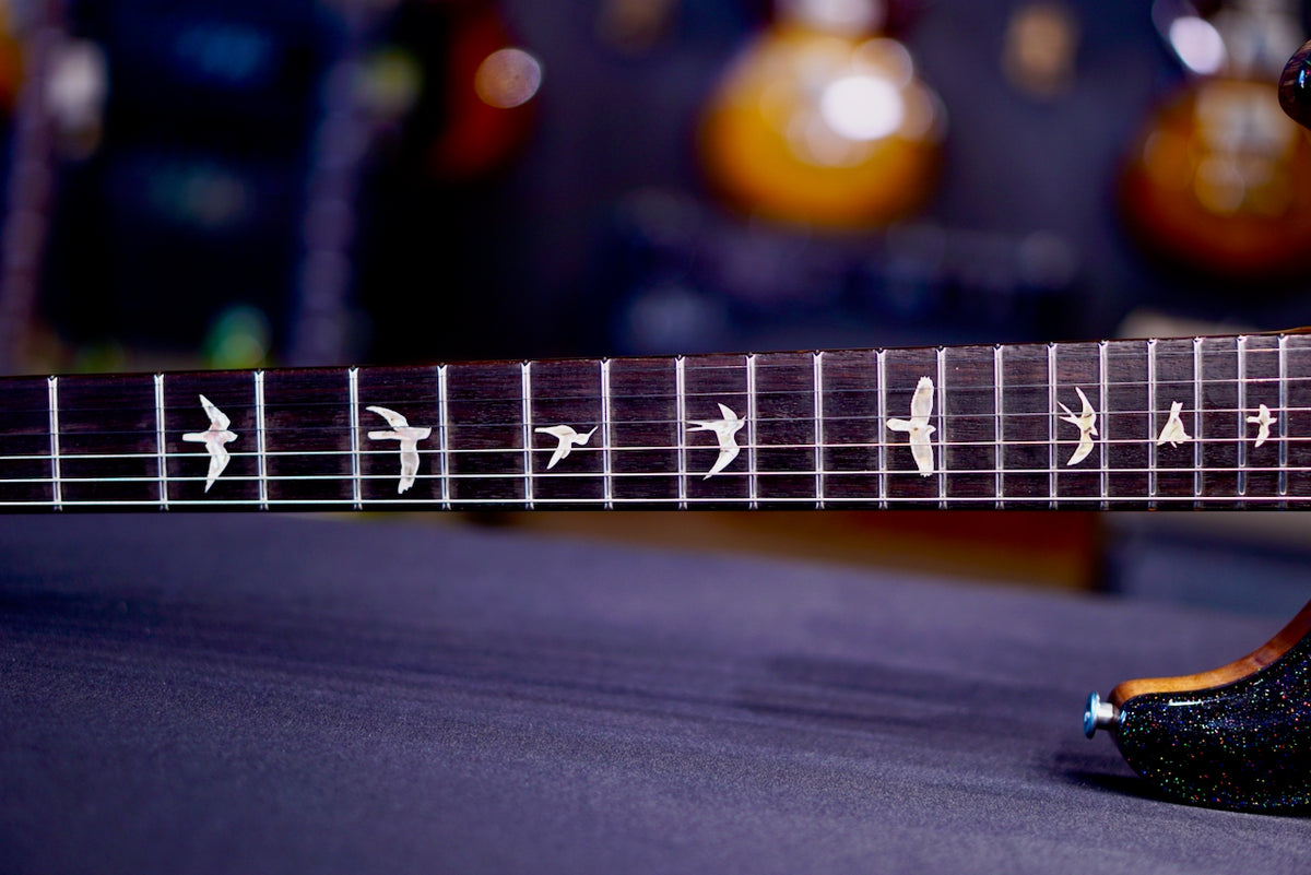 PRS Custom 24 Black Rainbow Holoflake 0426502