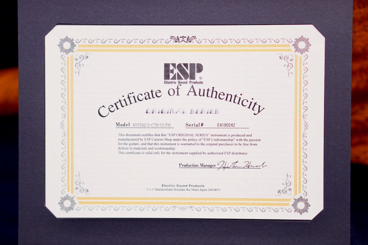 ESP Original Mystique NT Indigo Purple Gradation E4180242