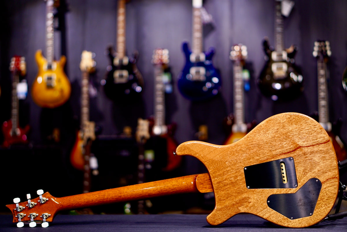 PRS DGT Birds Custom Color 0426356