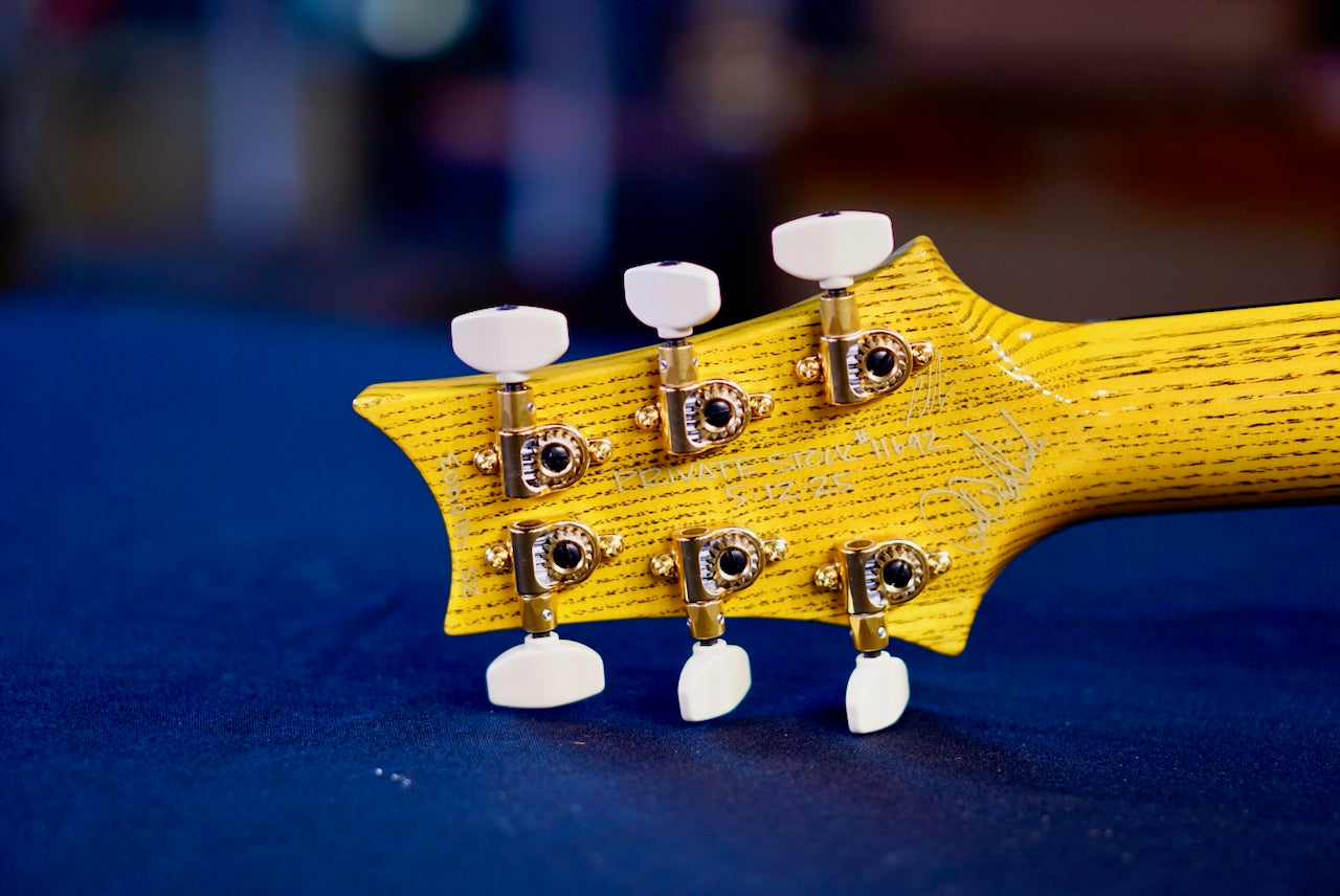 PRS Private Stock Special Semi Hollow Piezo Birds of a Feather McCarty Glow PS#11692 410403