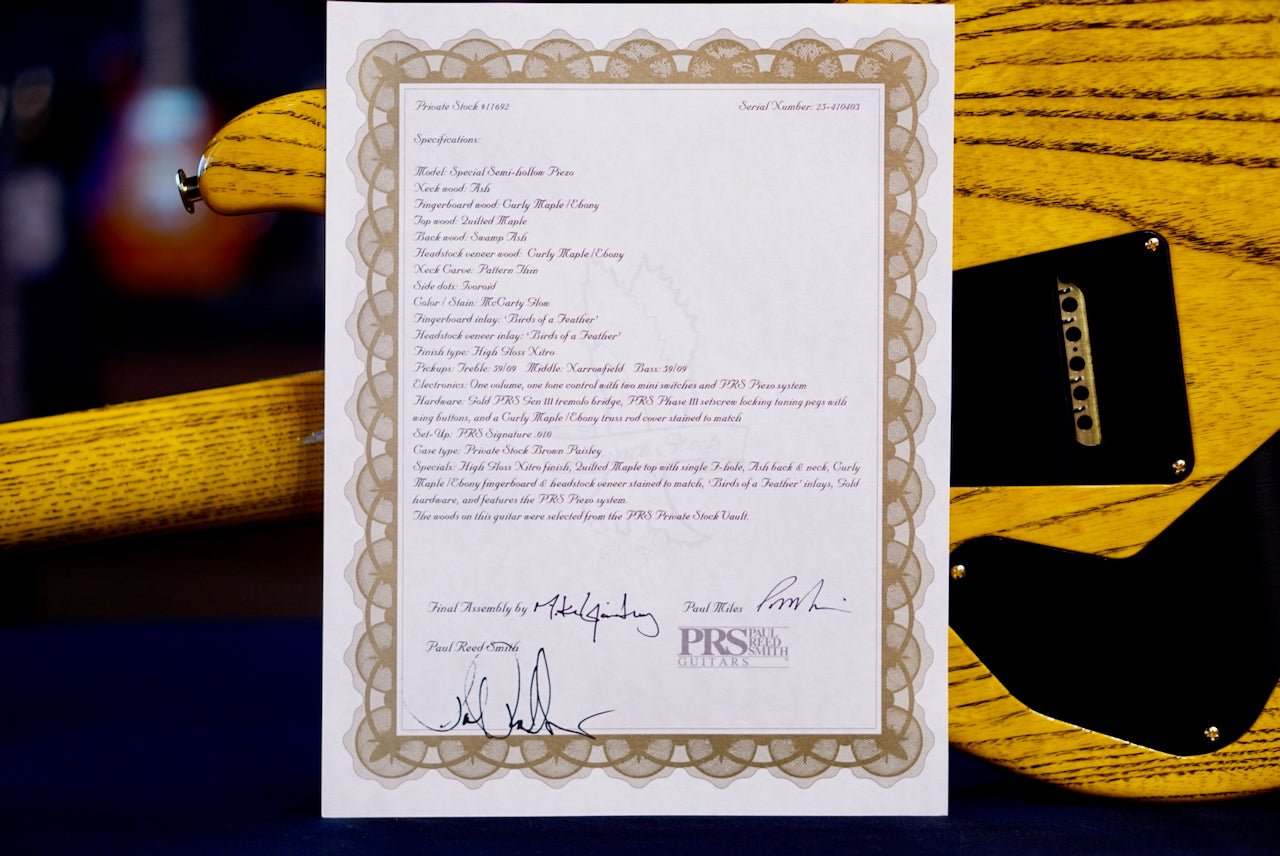 PRS Private Stock Special Semi Hollow Piezo Birds of a Feather McCarty Glow PS#11692 410403