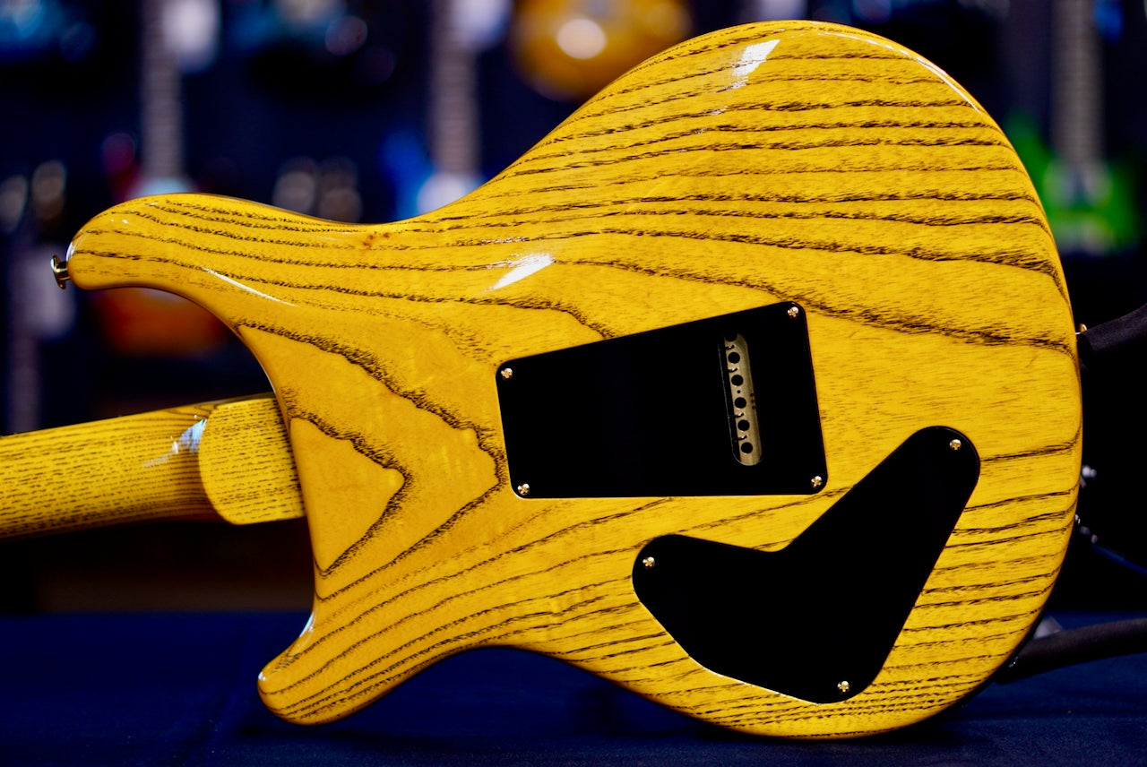 PRS Private Stock Special Semi Hollow Piezo Birds of a Feather McCarty Glow PS#11692 410403