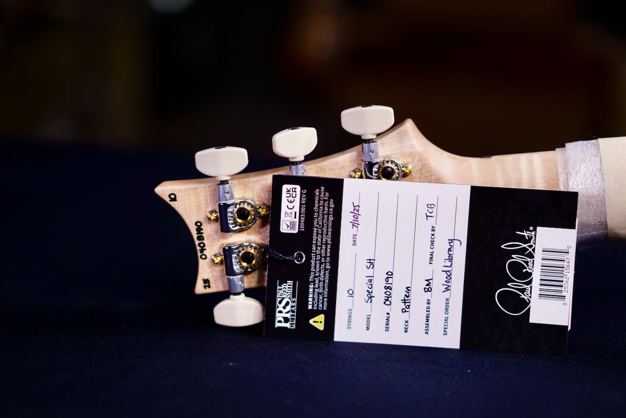 PRS Special 22 semi hollow wood library Eriza Verde 0408190