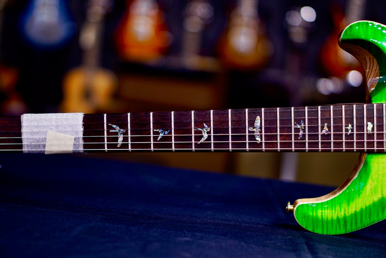 PRS Special 22 Semi Hollow Wood Library Eriza Verde Rosewood Neck 0409220