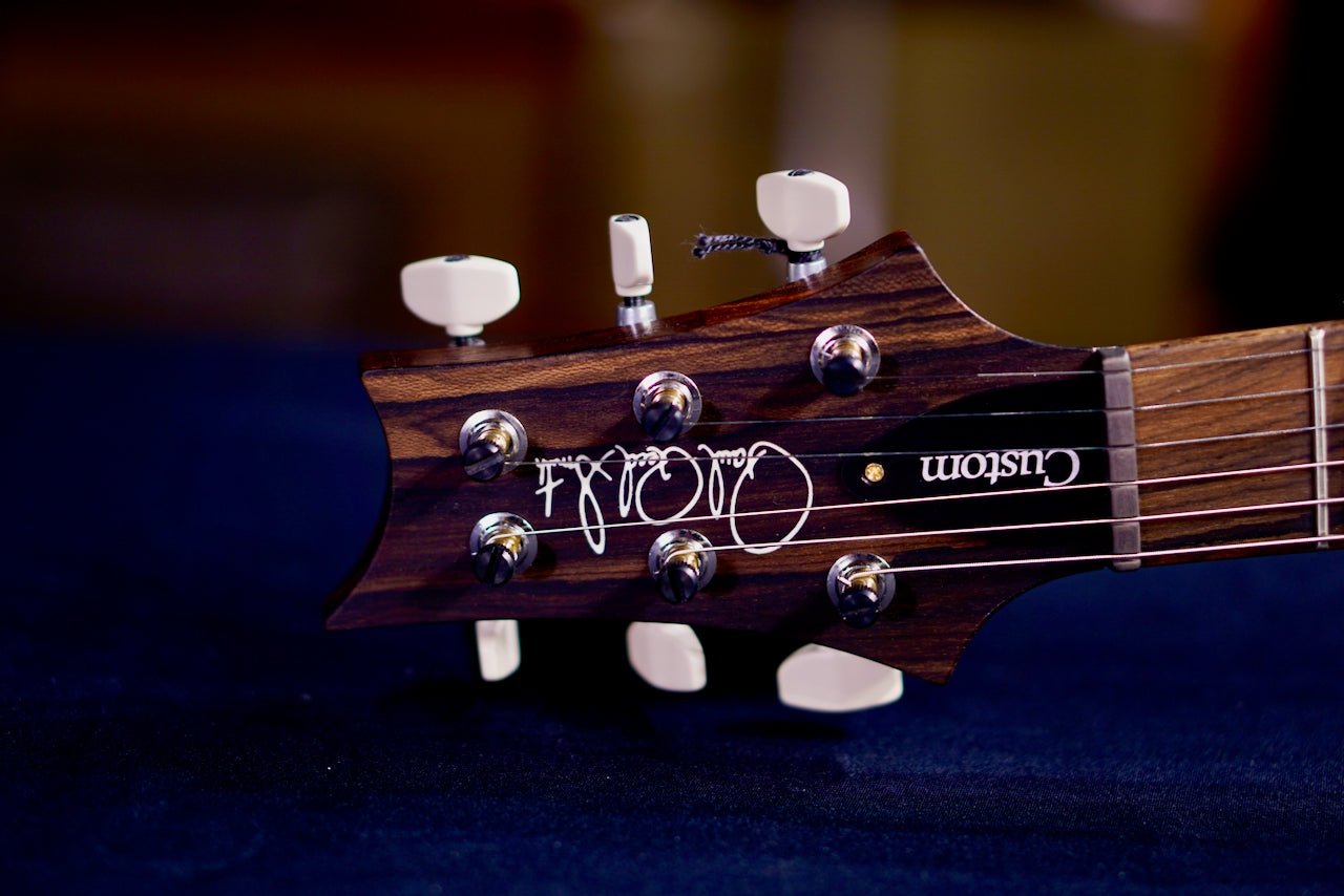 PRS Custom 24 Piezo Wood Library Rosewood Neck Jade 0412652