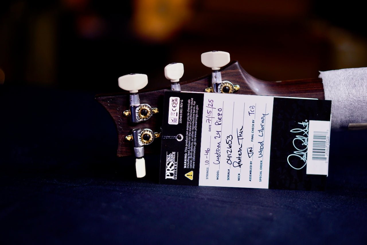PRS Custom 24 Piezo Wood Library Rosewood Neck Blue fade 0412653