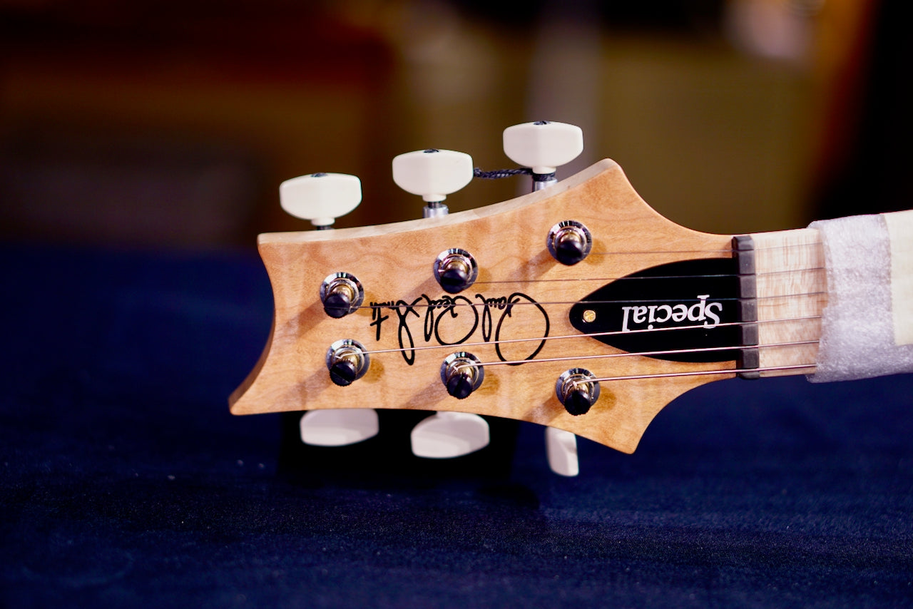 PRS Special 22 semi hollow wood library Jade 0408485