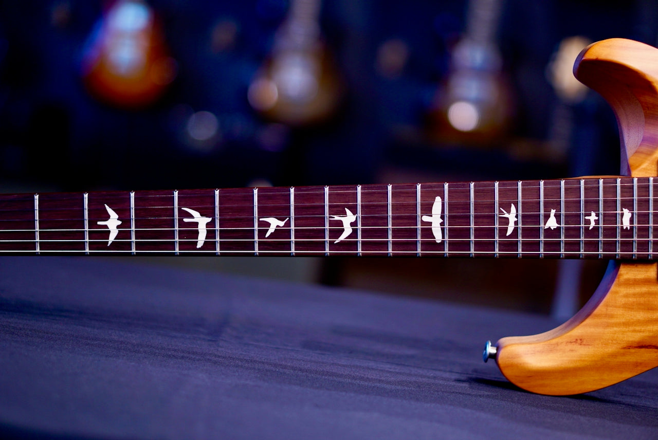 PRS S2 Special Semi-Hollow Reclaimed Limited Edition S2085086