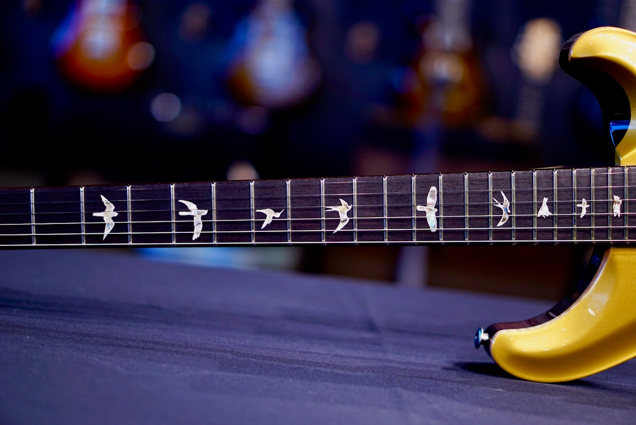 PRS DGT birds Gold Top 0381982