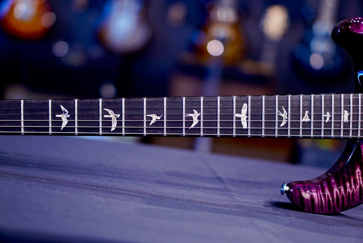 PRS Custom 24 Floyd Custom Color 10-Top 0412143