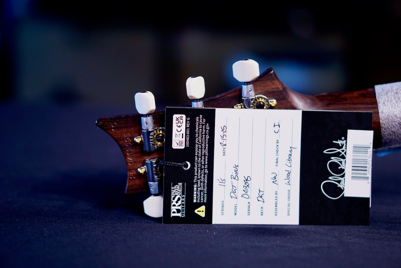 PRS DGT Wood Library Violet Blue Burst rosewood neck 0413095