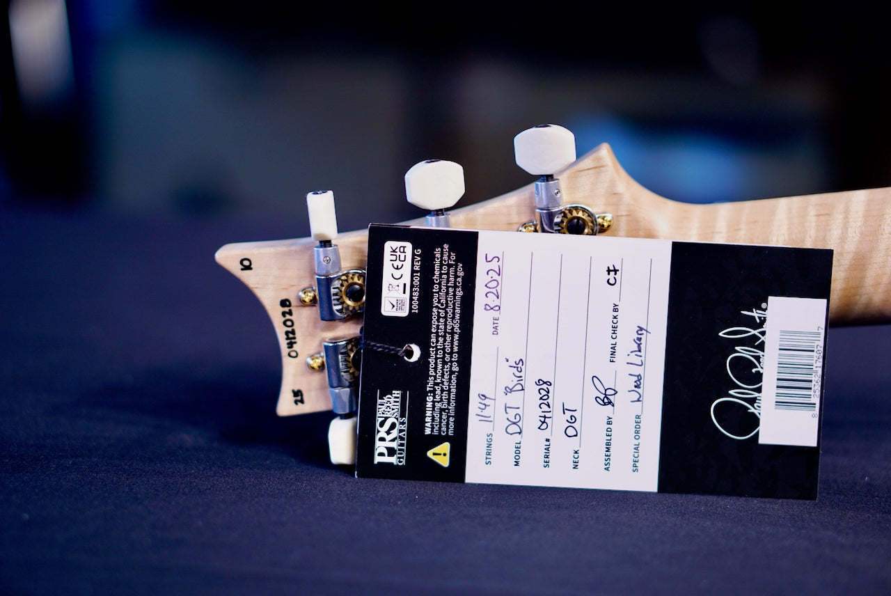 PRS DGT Wood Library River Blue Flame Neck 0412028